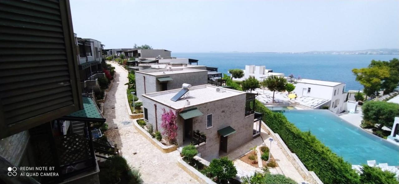 Matthews Beach House فلورا المظهر الخارجي الصورة