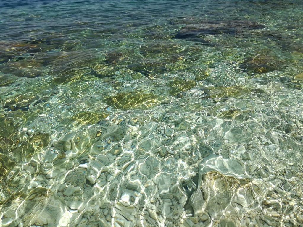 Matthews Beach House فلورا المظهر الخارجي الصورة